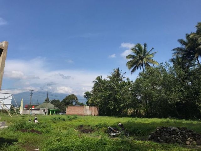 place photo 5