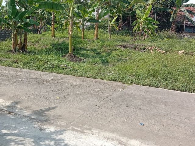 place photo 2