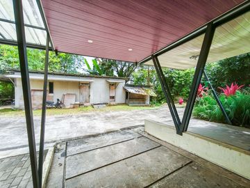 place photo 34