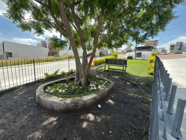 place photo 13