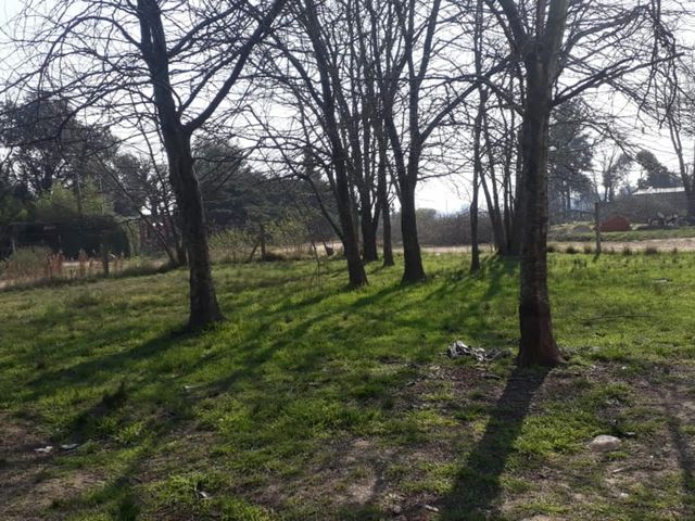 place photo 15