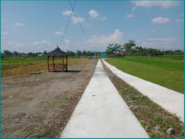 place photo 4
