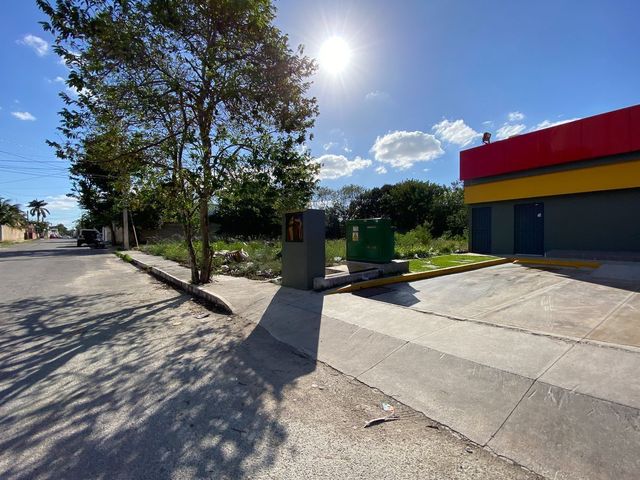 place photo 14
