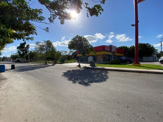place photo 13