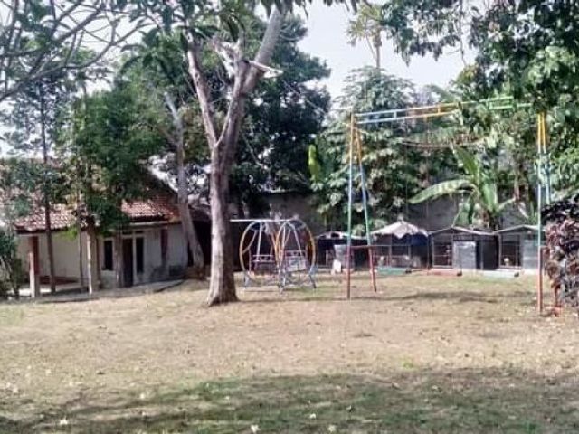 place photo 4