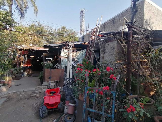 place photo 16