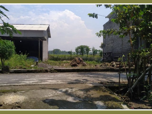 place photo 3