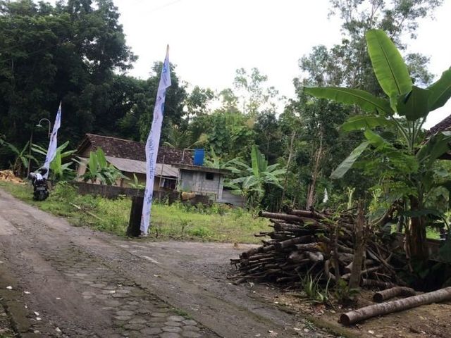 place photo 6