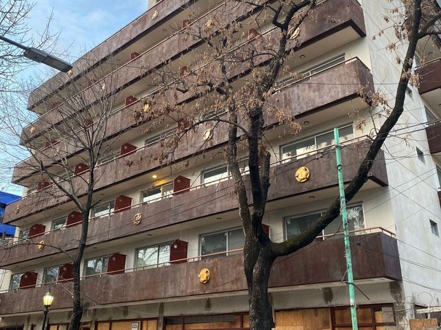 place photo 18