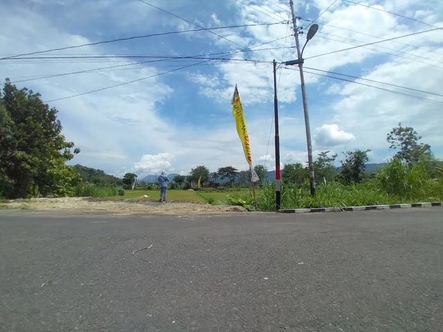 place photo 4