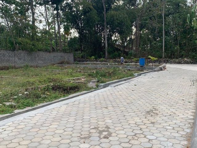 place photo 2