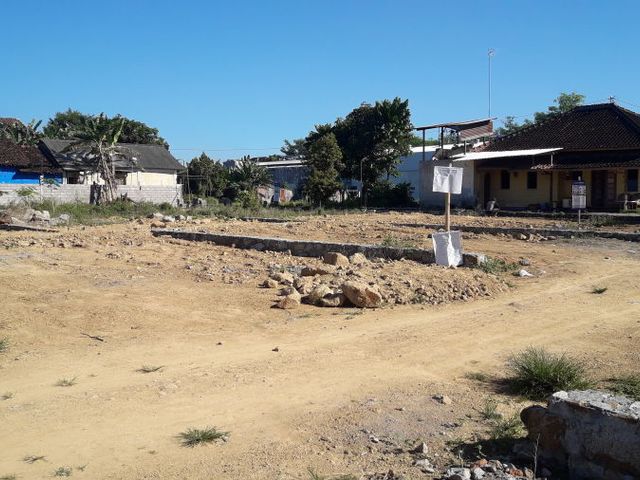 place photo 8