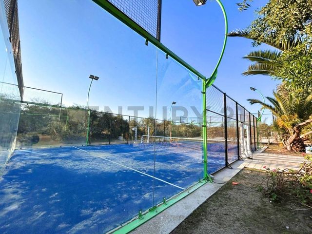 place photo 30