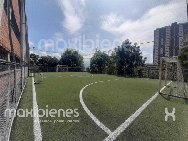 place photo 22