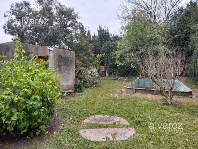 place photo 27