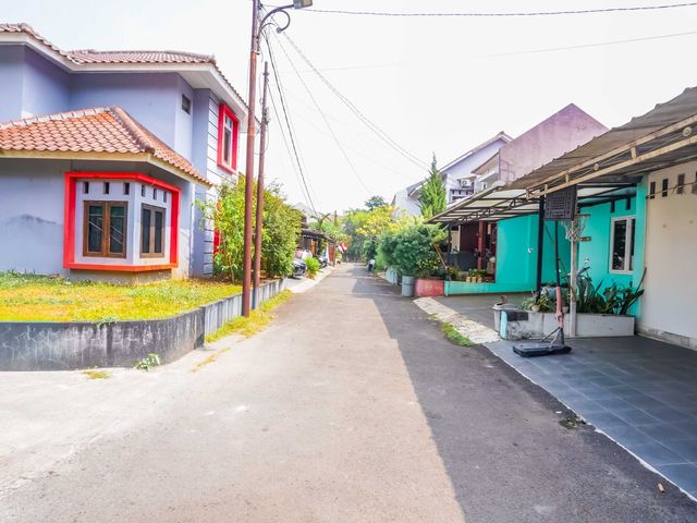 place photo 46