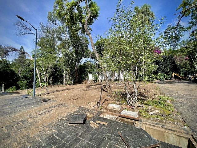 place photo 21