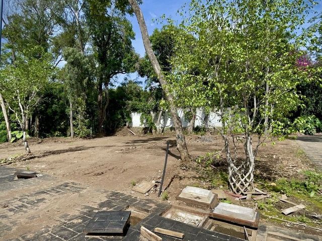 place photo 22