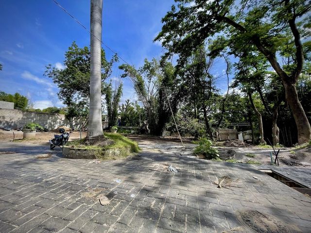 place photo 29