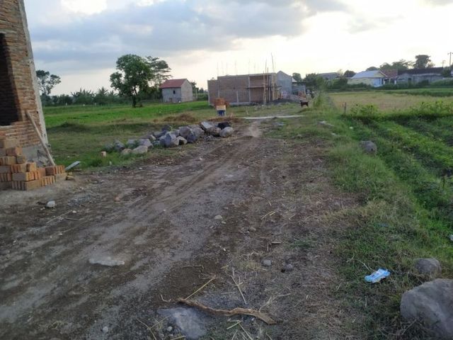 place photo 3