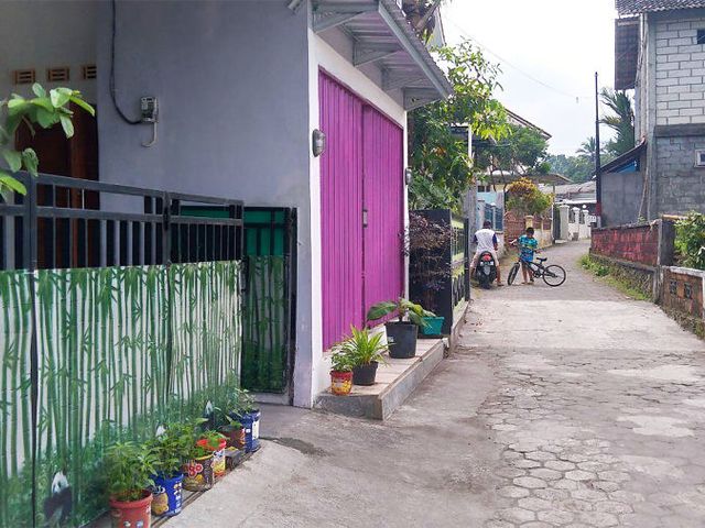 place photo 12