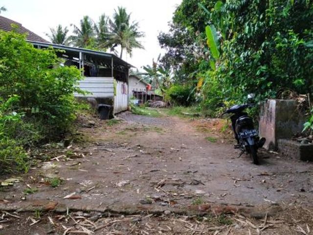 place photo 3