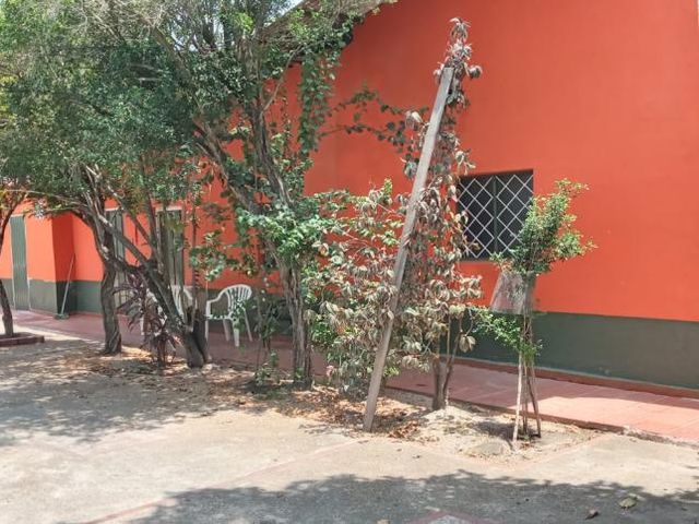 place photo 14