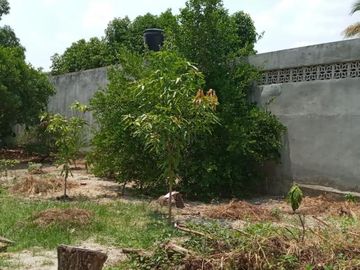 place photo 24