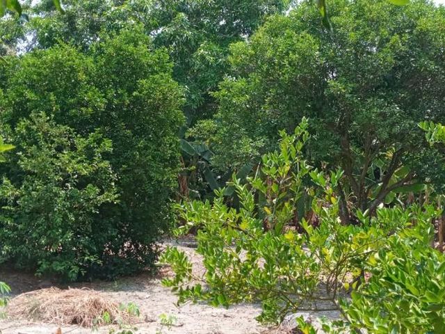 place photo 25