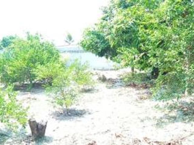 place photo 26