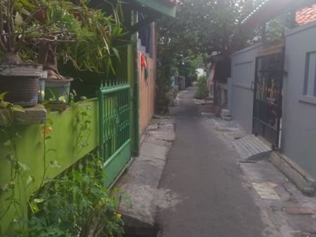 place photo 12