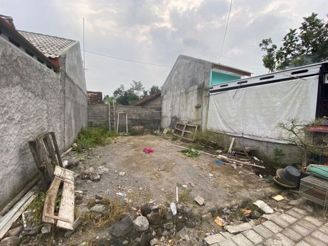 place photo 3