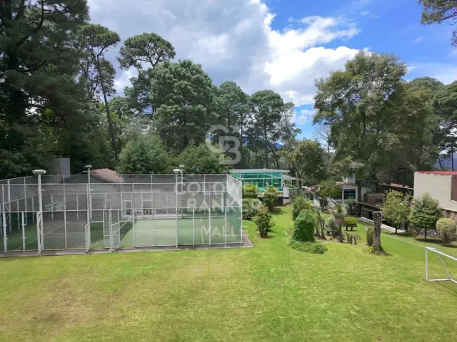 place photo 46