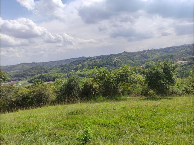 place photo 69