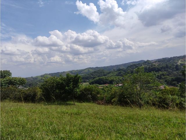 place photo 74