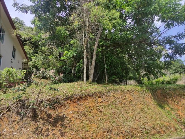 place photo 67