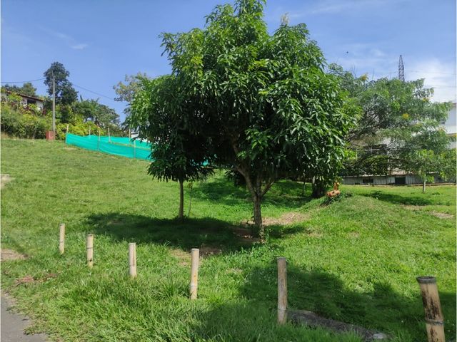 place photo 61