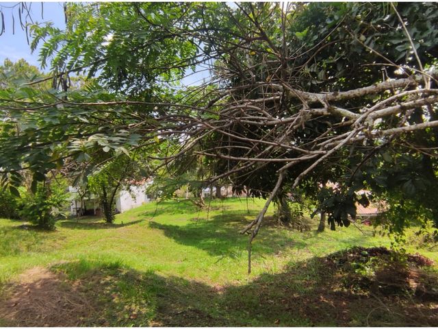 place photo 68
