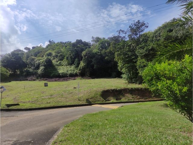 place photo 71