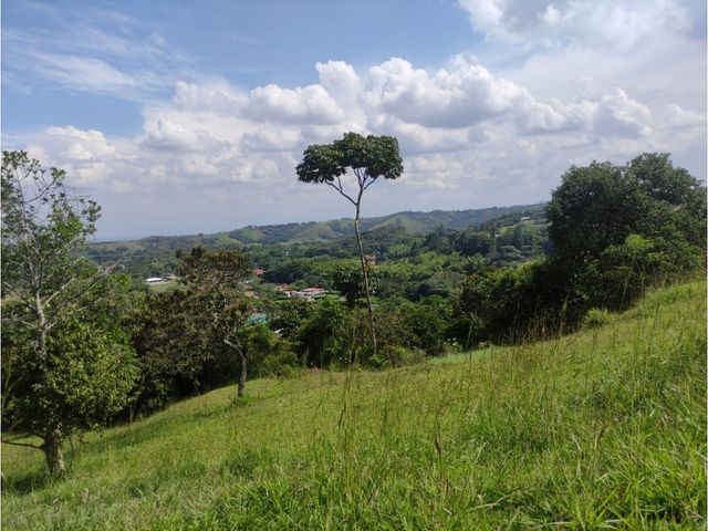 place photo 62