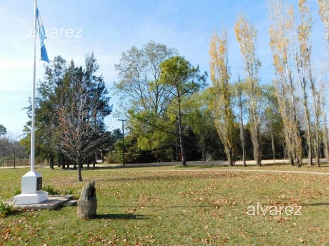 place photo 24