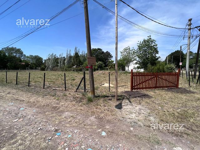 place photo 17