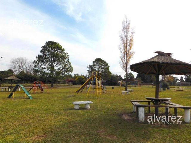 place photo 22
