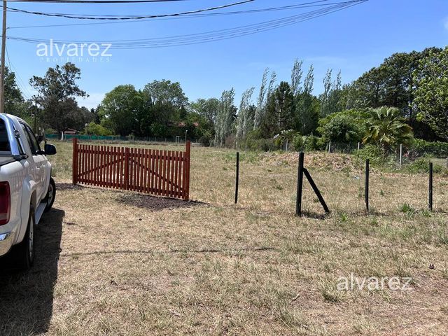 place photo 16