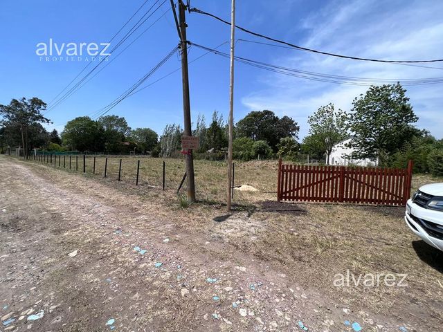 place photo 19