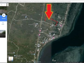 place photo 12