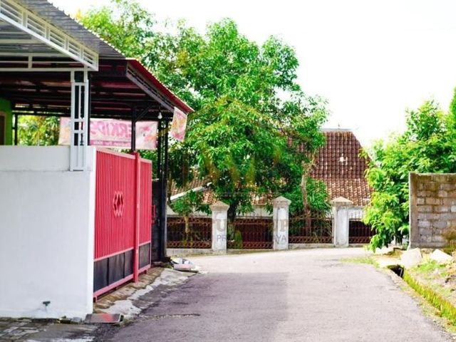 place photo 3