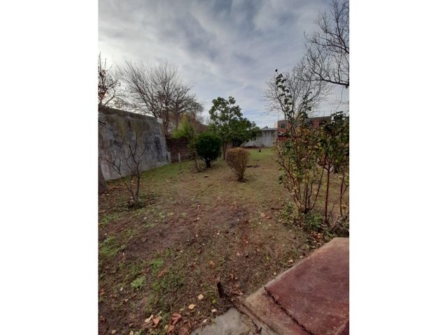 place photo 13