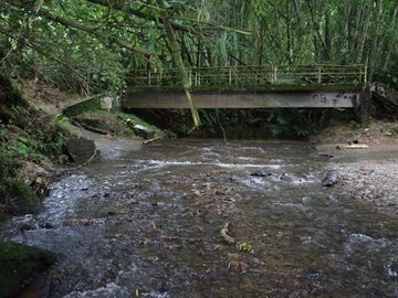 place photo 19