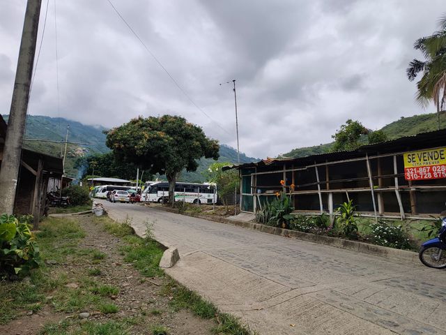 place photo 12